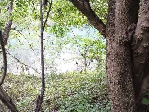 Sale, land lot, 4700m², Danilovgrad, Crna Gora - image 4