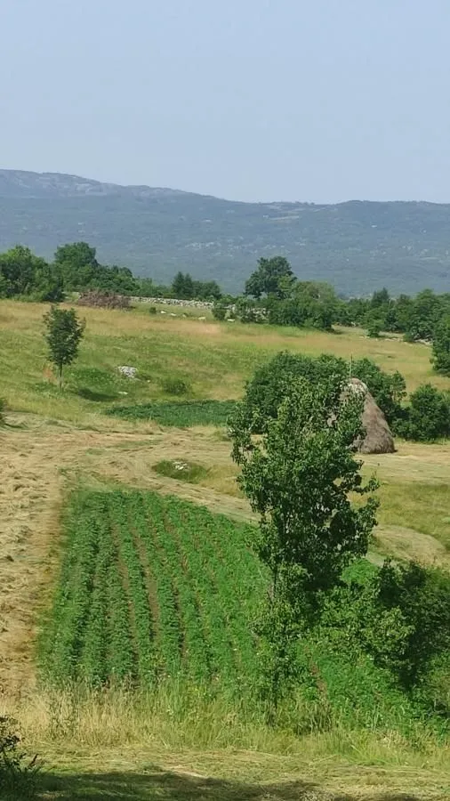 Prodaja, plac, 136000m², Dubočke, Nikšić