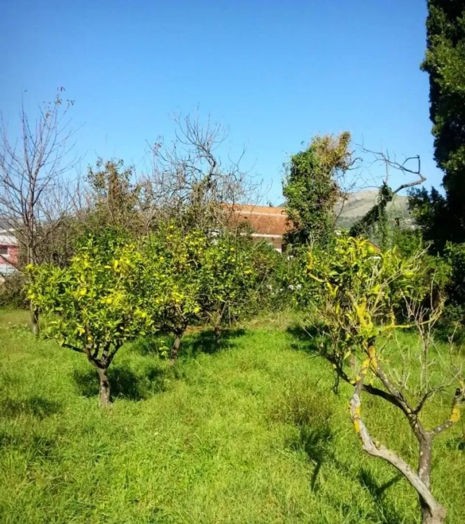 Prodaja, plac, 2460m², Polje, Bar