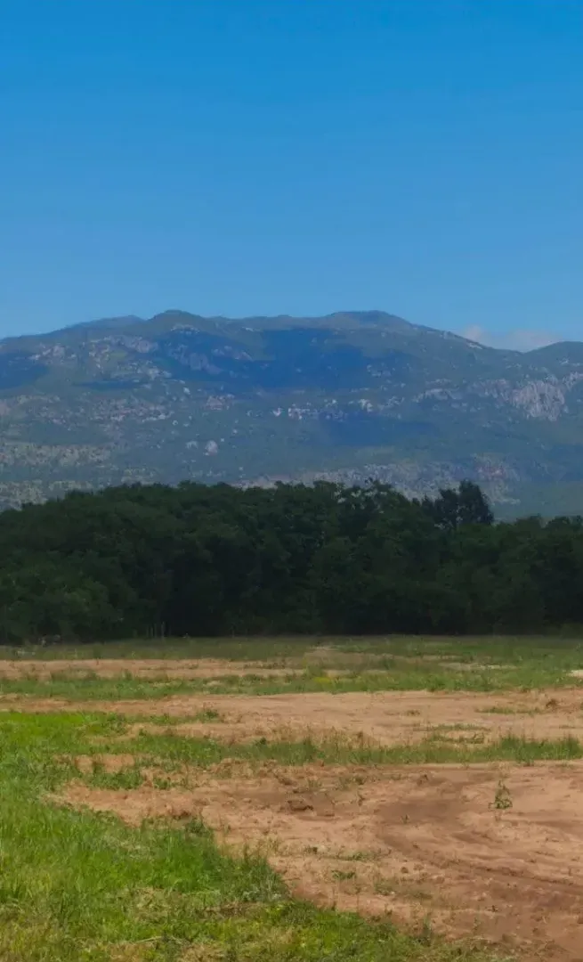 Prodaja, plac, 13300m², Kosić, Danilovgrad