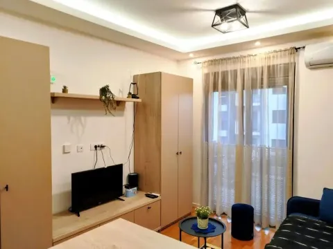 Rent, studio apartment, 24m², Zabjelo, Podgorica - image 4