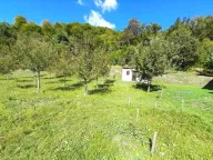 Sale, land lot, 17300m², Crkvine, Kolašin - image 4