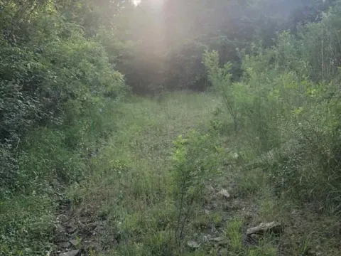 Sale, land lot, 18900m², Velja Gorana, Bar - image 18