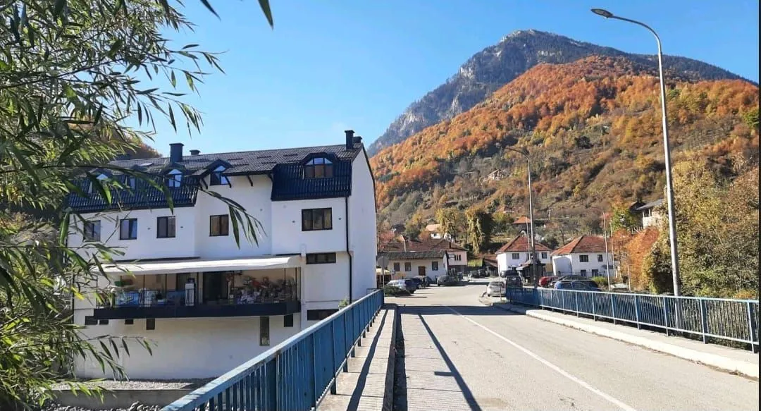 Prodaja, ugostiteljski objekat, 460m², Centar, Plav