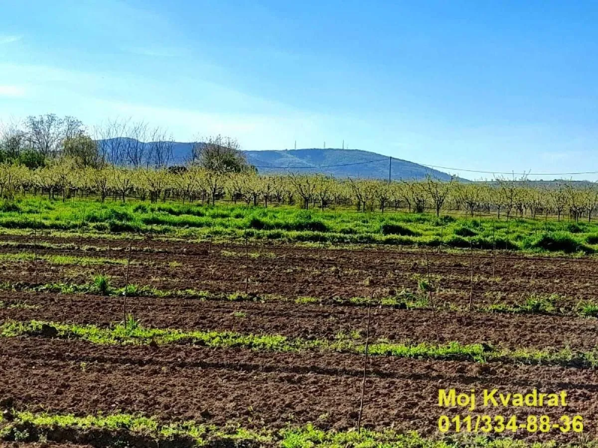 Prodaja, plac, 237m², Mladenovac, Beograd