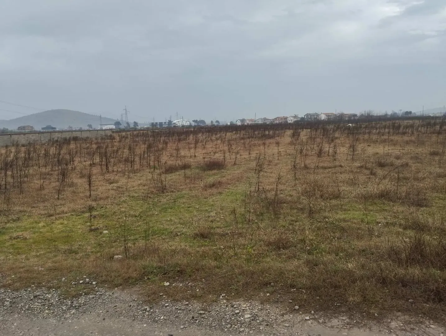 Prostran ravan plac sa niskim rastinjem pod oblačnim nebom.