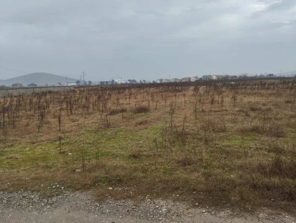 Prodaja, plac, 1500m², Donja Gorica, Podgorica