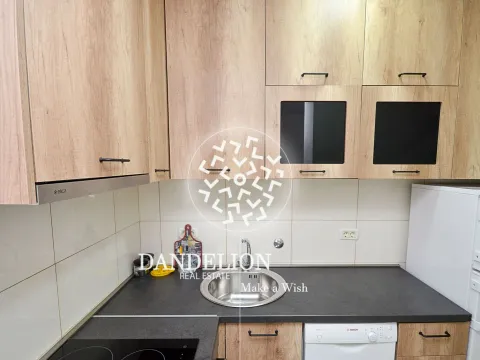 Izdavanje, stan, 25m², Vezirov Most, Podgorica - image 7