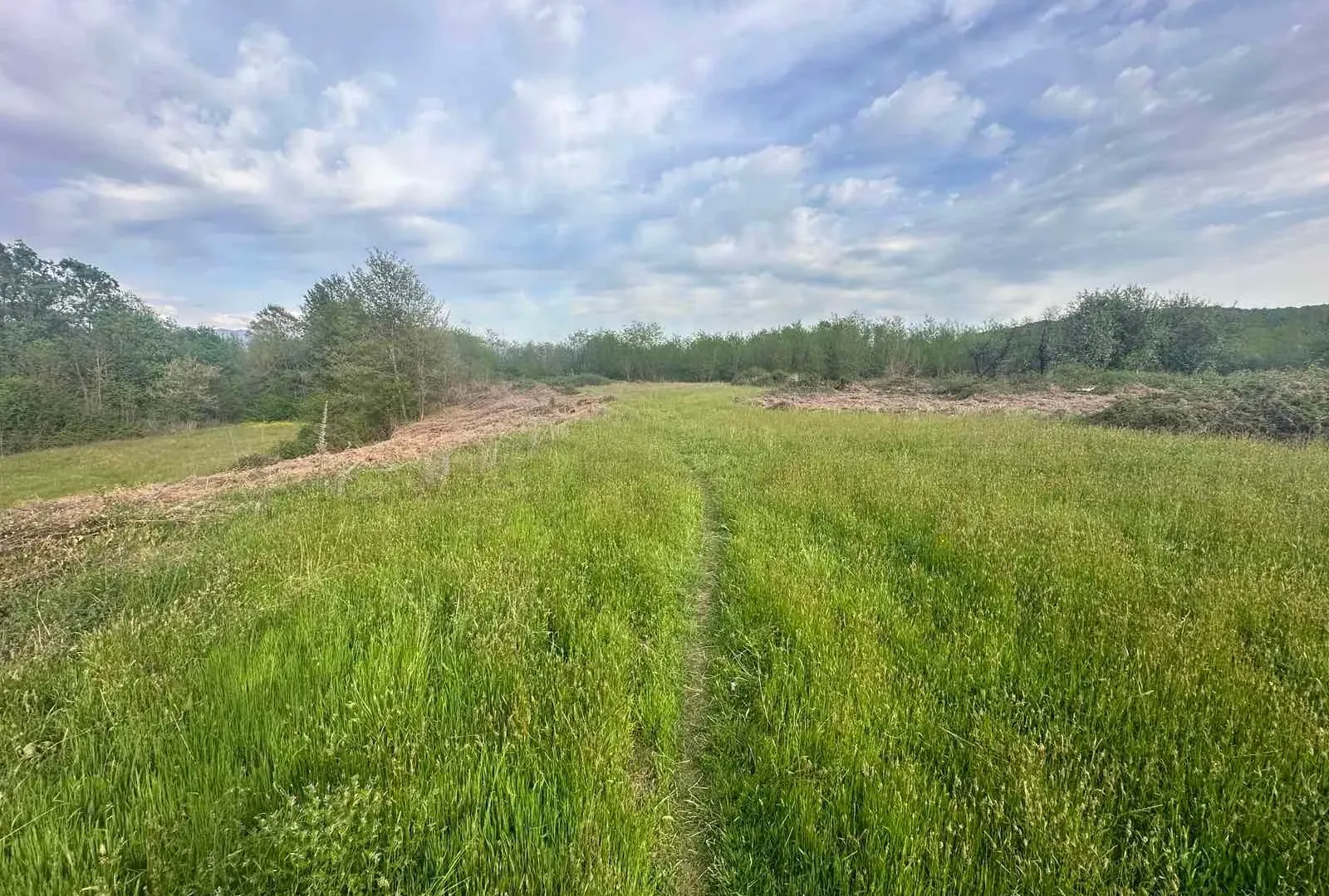 Prodaja, plac, 10860m², Orja Luka, Danilovgrad