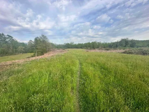 Prodaja, plac, 10860m², Orja Luka, Danilovgrad - image 9