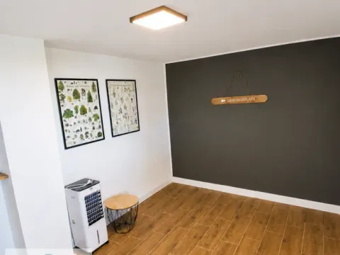 Prodaja, kuća, 48m², Sremski Karlovci, Novi Sad - image 12