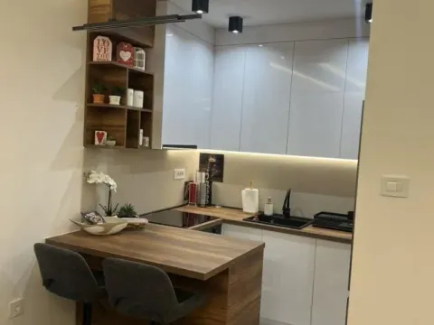 Izdavanje, jednosoban stan, 40m², Centar, Novi Sad - image 4