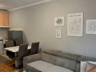 Izdavanje, jednosoban stan, 47m², Preko Morače, Podgorica - image 5