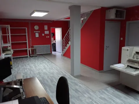 Izdavanje, poslovni prostor, 450m², Leštane, Grocka - image 2