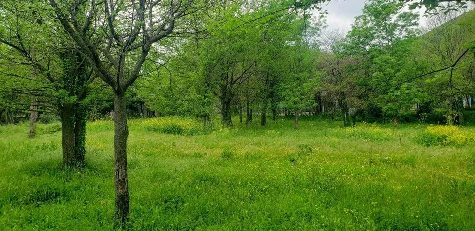 Prodaja, plac, 749m², Petrovac, Budva