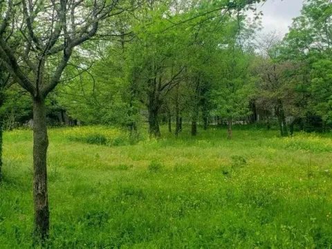 Prodaja, plac, 749m², Petrovac, Budva - image 3