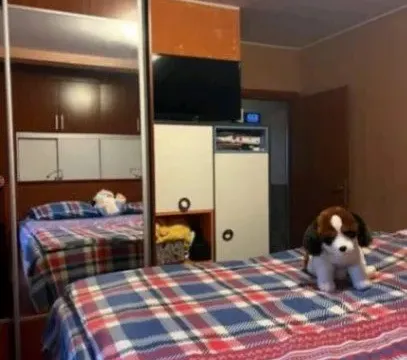 Izdavanje, jednosoban stan, 69m², Budva, Crna Gora - image 4