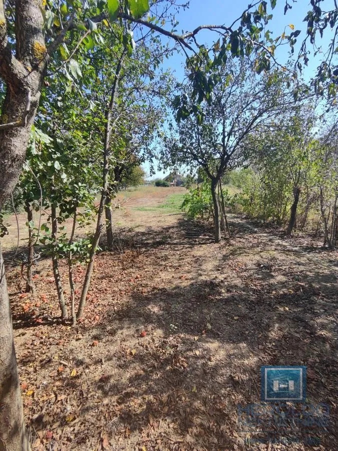 Sale, land lot, 2600m², Kupusara, Jagodina