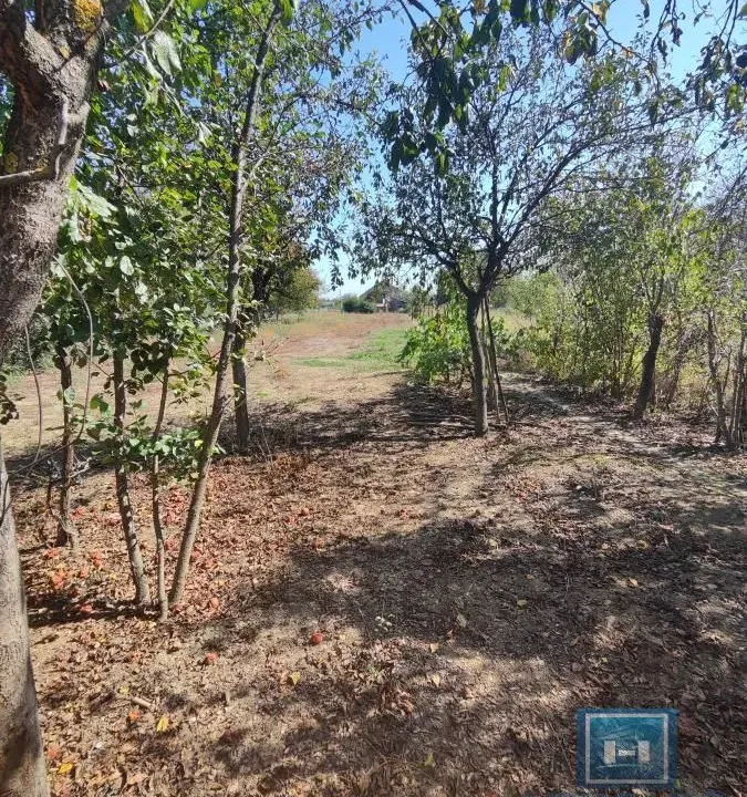 Sale, land lot, 2600m², Kupusara, Jagodina