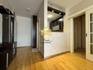 Izdavanje, jednosoban stan, 45m², Preko Morače, Podgorica - image 5