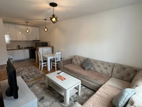 Izdavanje, jednosoban stan, 45m², City Kvart, Podgorica - image 1