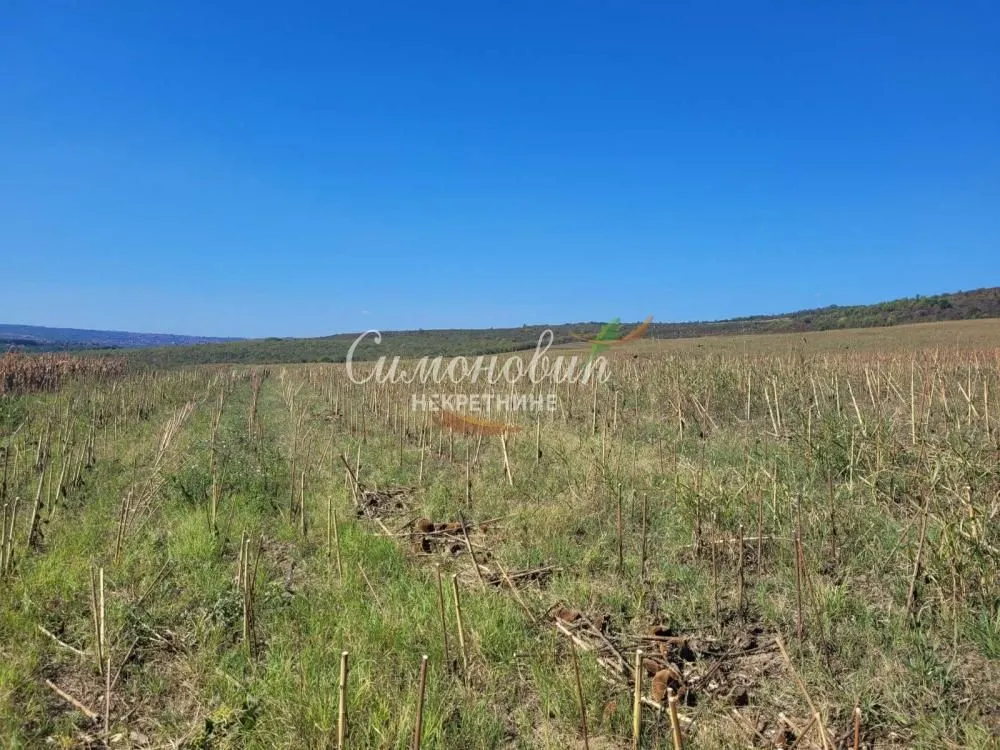 Prodaja, plac, 15000m², Ritopek, Grocka