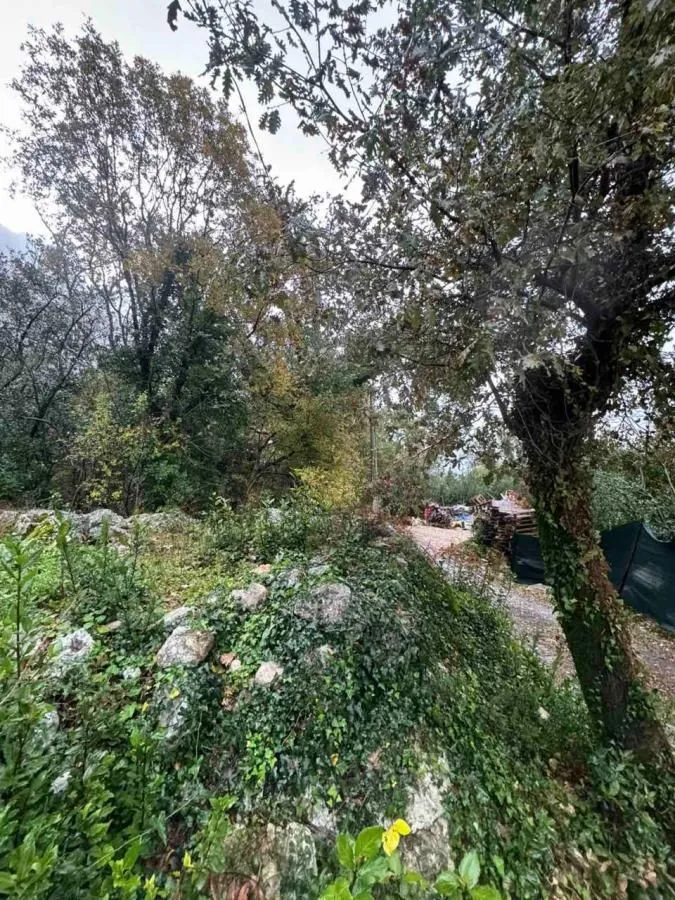 Sale, land lot, 2800m², Orahovac, Kotor