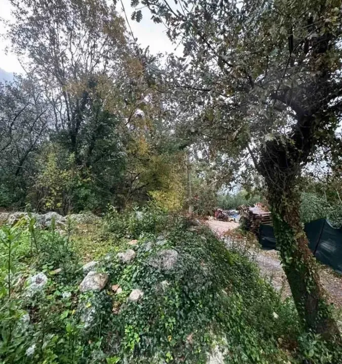 Sale, land lot, 2800m², Orahovac, Kotor