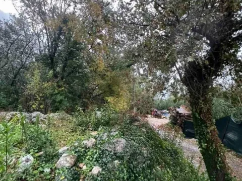 Prodaja, plac, 2800m², Orahovac, Kotor