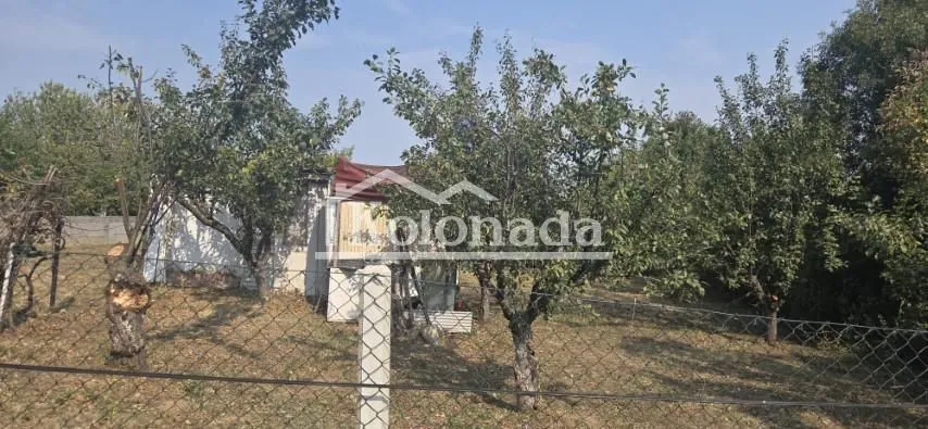 Pogled na dvorište puno drveća sa manjim objektom u pozadini.