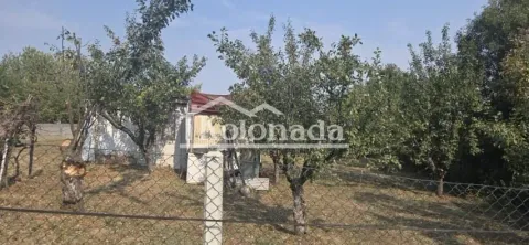 Pogled na dvorište puno drveća sa manjim objektom u pozadini. - image 3