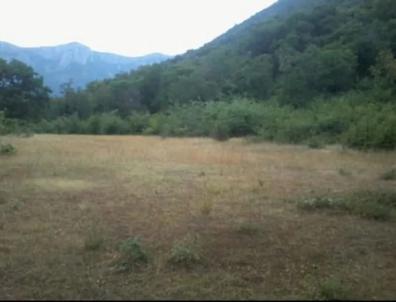 Prodaja, plac, 10000m², Bar, Crna Gora