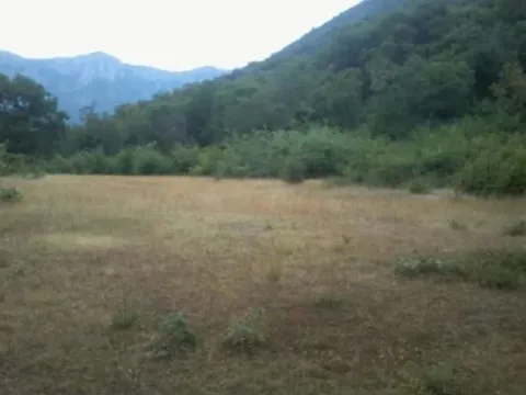 Sale, land lot, 10000m², Bar, Crna Gora