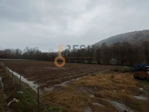 Prodaja, plac, 15000m², Danilovgrad, Crna Gora - image 2