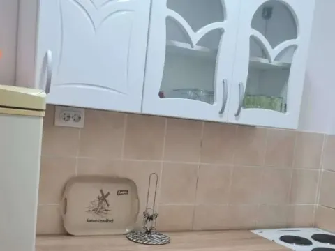 Izdavanje, dvosoban stan, 43m², Betanija, Novi Sad Sve Podlokacije - image 3