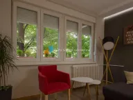 Izdavanje, dvosoban stan, 40m², Vračar Hram, Vračar Sve Podlokacije - image 5