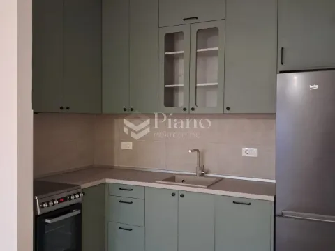 Rent, one bedroom apartment, 44m², Zabjelo, Podgorica - image 2