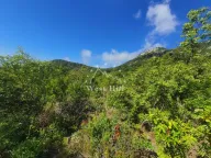 Sale, land lot, 14000m², Pečurice, Bar - image 10