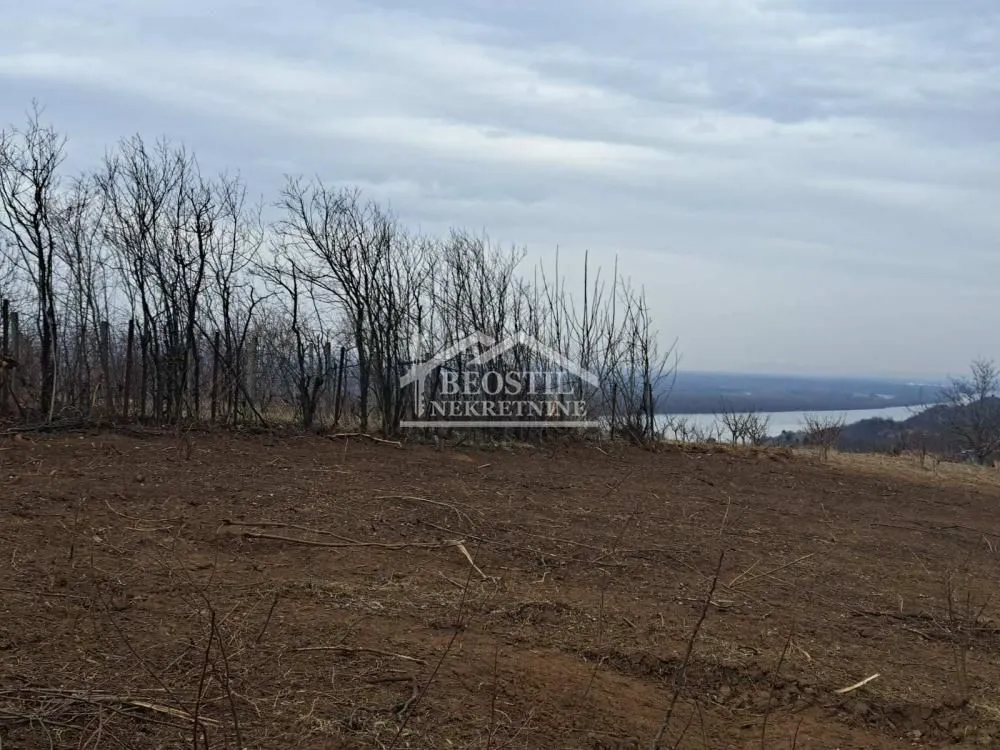 Prodaja, plac, 5600m², Brestovik, Grocka