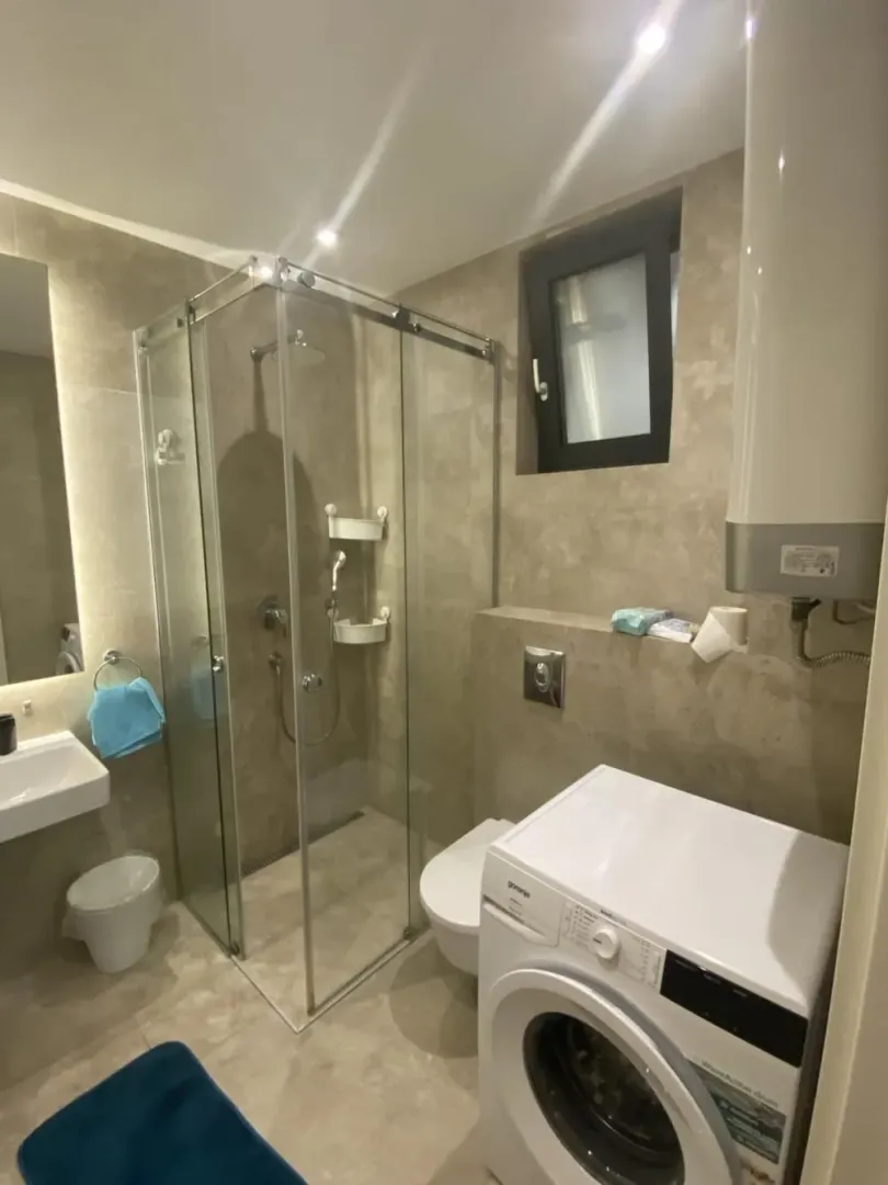 Bathroom equipped with a walk-in shower, washbasin, toilet, and washing machine.