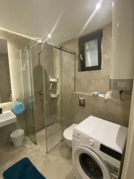 Bathroom equipped with a walk-in shower, washbasin, toilet, and washing machine. - image 4