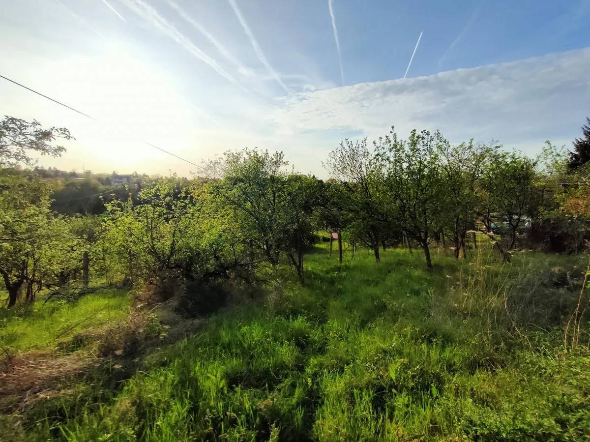 Prodaja, plac, 600m², Sremska Kamenica, Petrovaradin