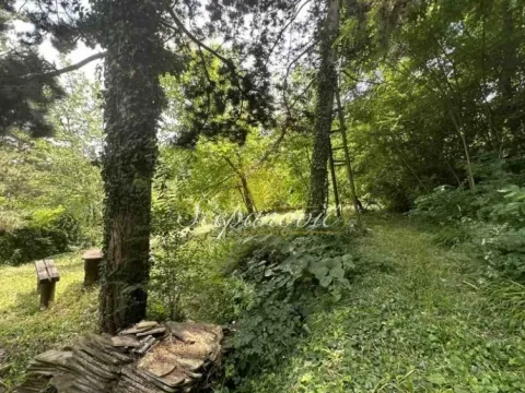 Prodaja, plac, 721m², Petrovaradin, Novi Sad - image 2