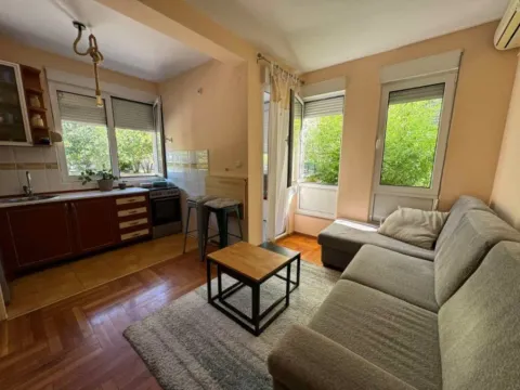 Izdavanje, jednosoban stan, 38m², Pod Goricom, Podgorica - image 7