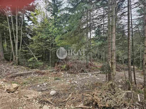 Sale, land lot, 500m², Tara, Srbija - image 4