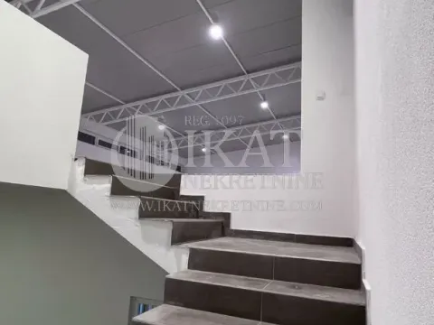 Izdavanje, poslovni prostor, 300m², Zemun Sve Podlokacije, Beograd - image 3