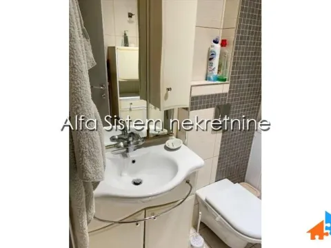 Izdavanje, dvosoban stan, 60m², Botanička Bašta, Palilula Sve Podlokacije - image 6