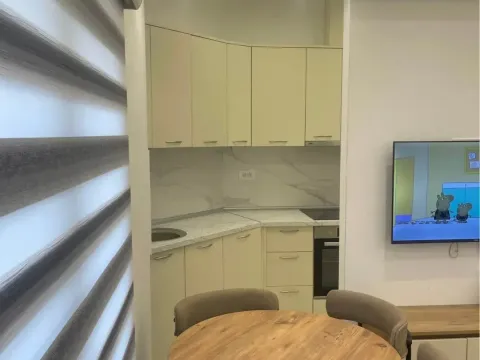 Izdavanje, dvosoban stan, 55m², Zagorič, Podgorica - image 2