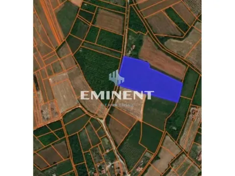 Prodaja, plac, 12029m², Kosmaj, Sopot - image 3