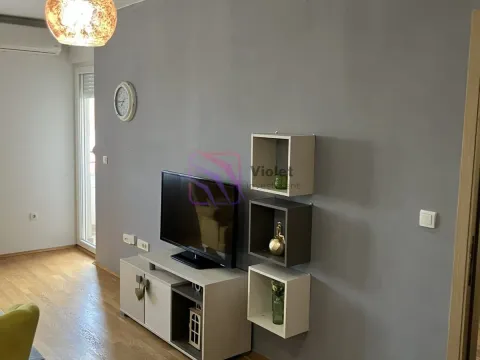 Izdavanje, jednosoban stan, 50m², Tuški Put, Podgorica - image 3